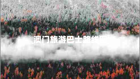 澳門(mén)旅游巴士路線(xiàn)圖