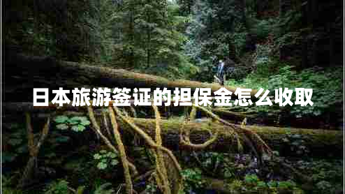 日本旅游簽證的擔保金怎么收取
