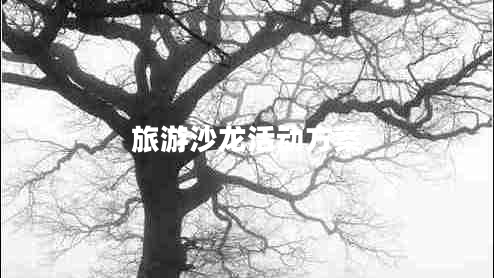 旅游沙龍活動(dòng)方案