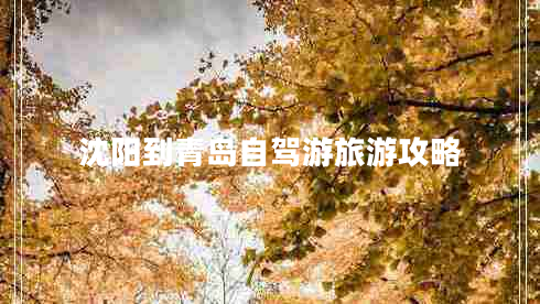 沈陽(yáng)到青島自駕游旅游攻略