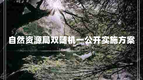 自然資源局雙隨機一公開(kāi)實(shí)施方案