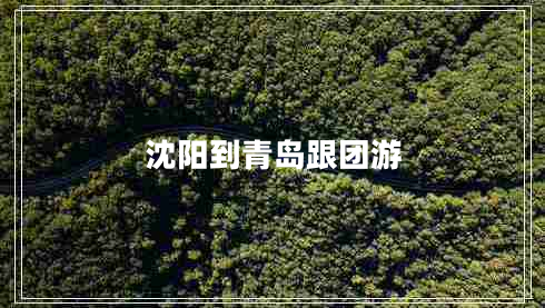 沈陽(yáng)到青島跟團游