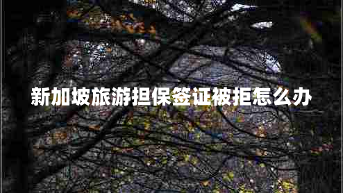 新加坡旅游擔保簽證被拒怎么辦