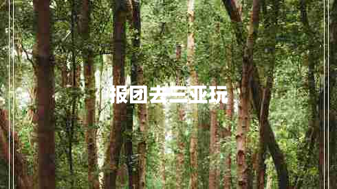 報團去三亞玩