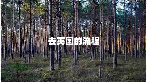 去英國的流程
