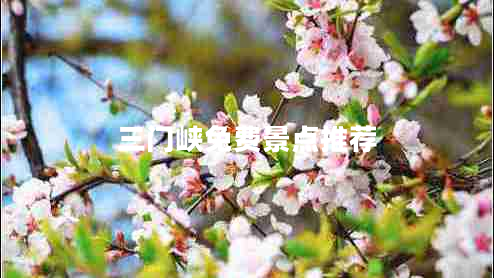 三門(mén)峽免費景點(diǎn)推薦