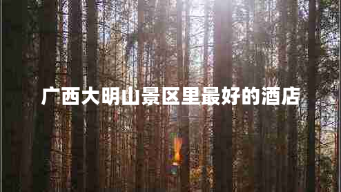 廣西大明山景區里最好的酒店