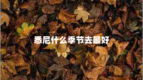 悉尼什么季節去最好