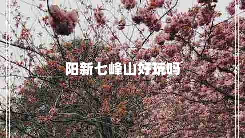 陽(yáng)新七峰山好玩嗎