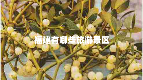 福建有哪些旅游景區