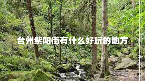 臺州紫陽(yáng)街有什么好玩的地方