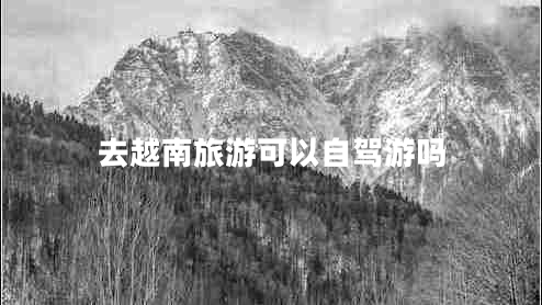 去越南旅游可以自駕游嗎