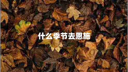 什么季節(jié)去恩施 什么季節(jié)去恩施