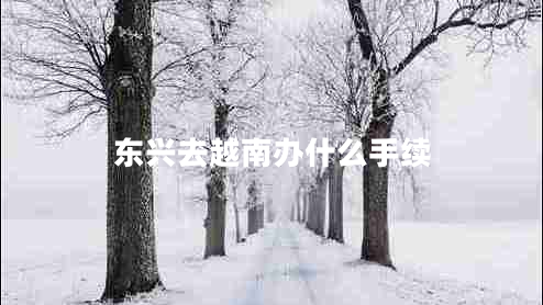東興去越南辦什么手續