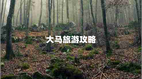 大馬旅游攻略