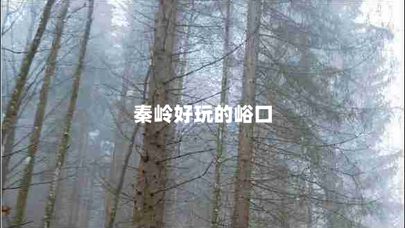 秦嶺好玩的峪口