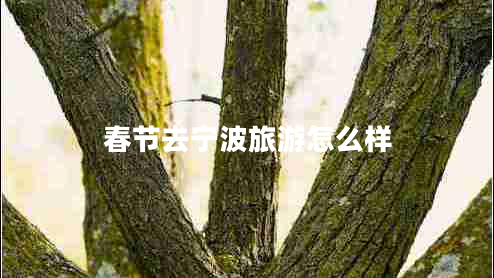春節去寧波旅游怎么樣
