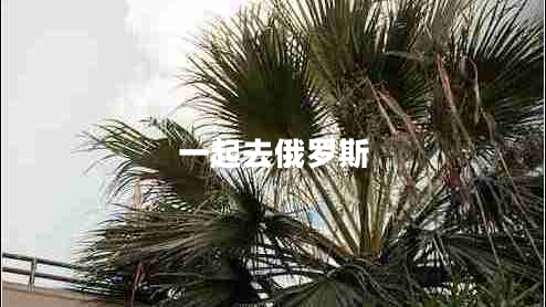 一起去俄羅斯