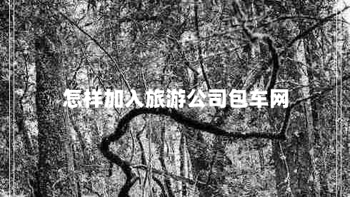 怎樣加入旅游公司包車(chē)網(wǎng)