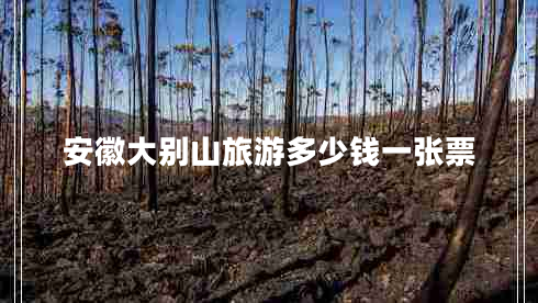 安徽大別山旅游多少錢(qián)一張票
