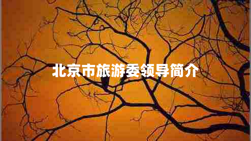 北京市旅游委領(lǐng)導簡(jiǎn)介