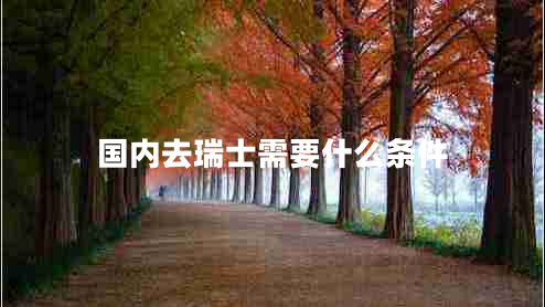 國內去瑞士需要什么條件