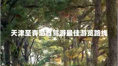 天津至青島自駕游最佳游覽路線(xiàn)