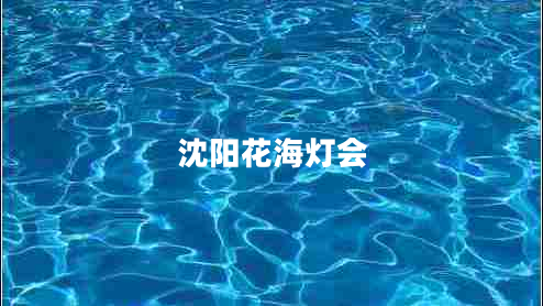 沈陽(yáng)花海燈會(huì )