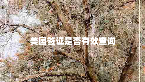 美國簽證是否有效查詢(xún)