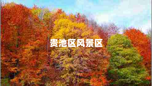 貴池區風(fēng)景區