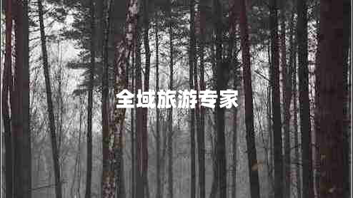 全域旅游專(zhuān)家