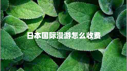 日本國際漫游怎么收費