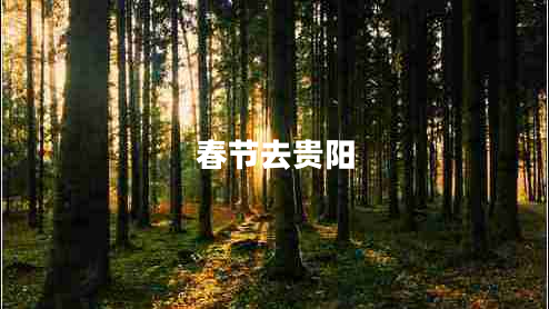 春節去貴陽(yáng)
