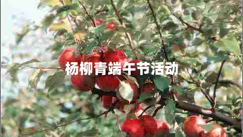 楊柳青端午節活動(dòng)
