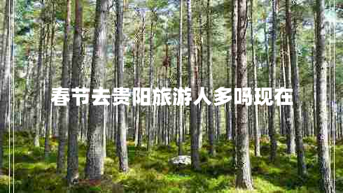 春節(jié)去貴陽(yáng)旅游人多嗎現(xiàn)在