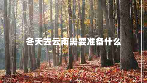 冬天去云南需要準備什么