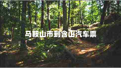 馬鞍山市到含山汽車(chē)票