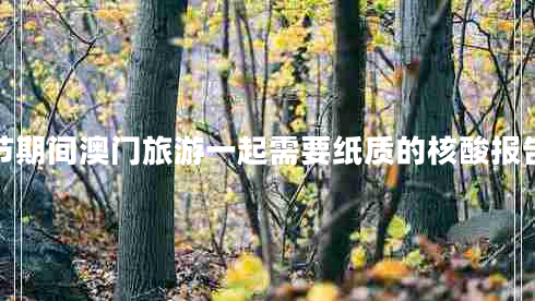 春節期間澳門(mén)旅游一起需要紙質(zhì)的核酸報告嗎