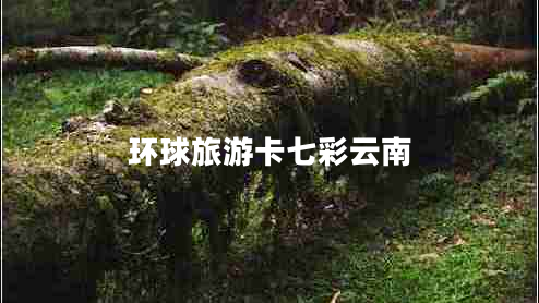 環(huán)球旅游卡七彩云南