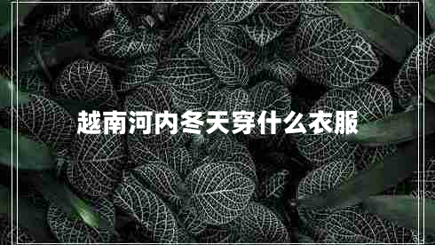 越南河內冬天穿什么衣服