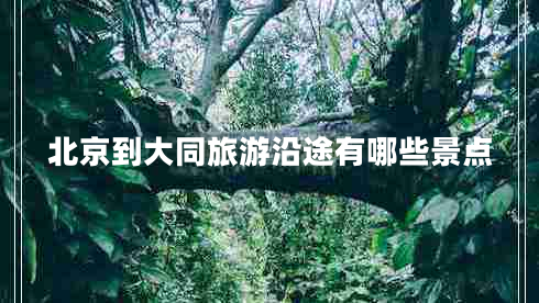 北京到大同旅游沿途有哪些景點(diǎn)