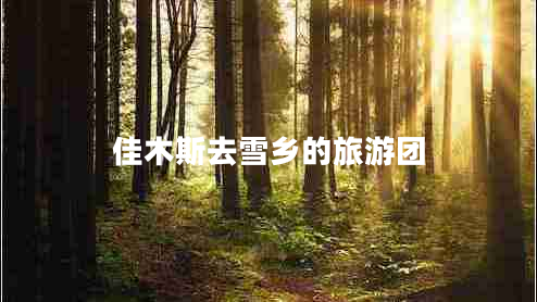 佳木斯去雪鄉的旅游團