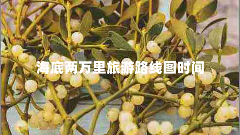 海底兩萬(wàn)里旅游路線(xiàn)圖時(shí)間