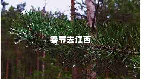 春節去江西