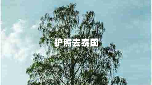 護照去泰國