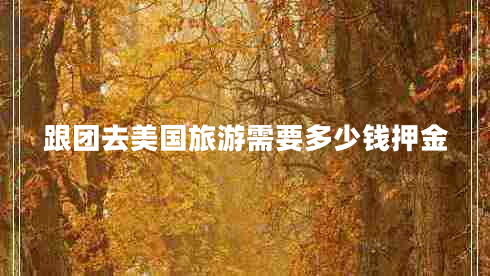 跟團去美國旅游需要多少錢(qián)押金