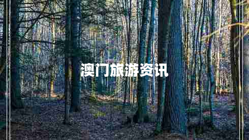 澳門(mén)旅游資訊