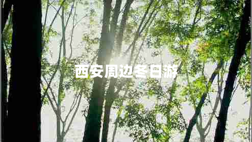 西安周邊冬日游