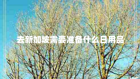 去新加坡需要準備什么日用品