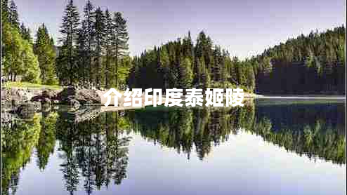 介紹印度泰姬陵